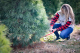 Plaid & Striped Button Long Sleeve Top